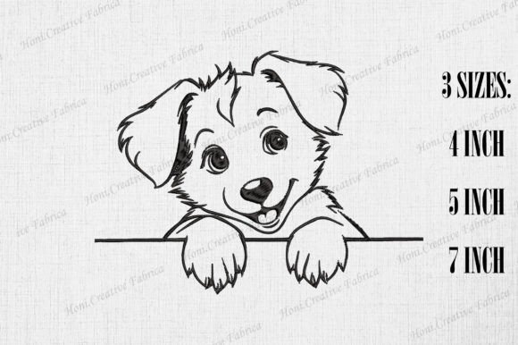 Cute Australian Shepherd Peeking Wall
