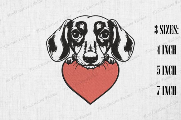 Cute Dachshund Peeking from Heart
