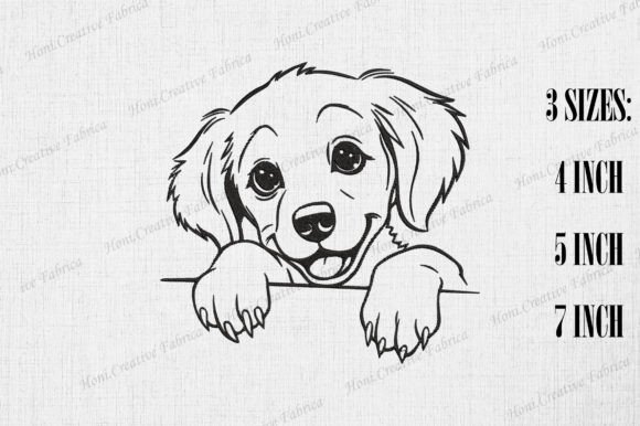 Cute Golden Retriever Dog Peeking Wall